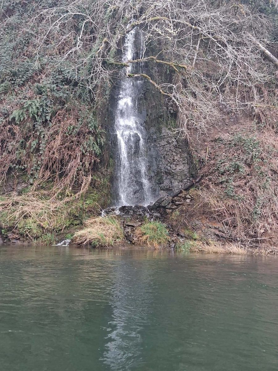 A tall thin waterfall dropping down a mossy rock face into the Humptulips River